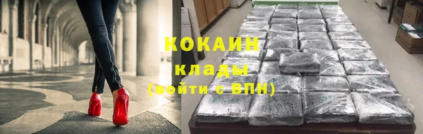 гидра Касимов
