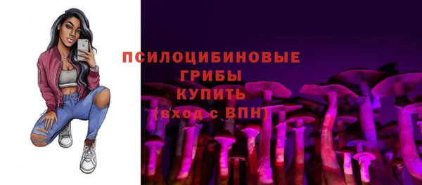 Альфа ПВП Карталы