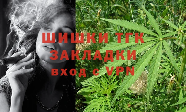 хмурый Карпинск