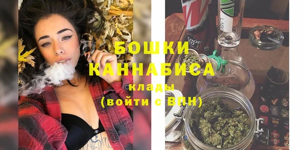хмурый Карпинск