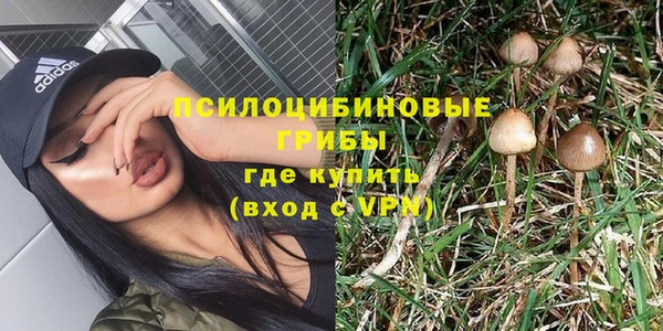 хмурый Карпинск