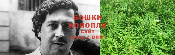 гидра Касимов