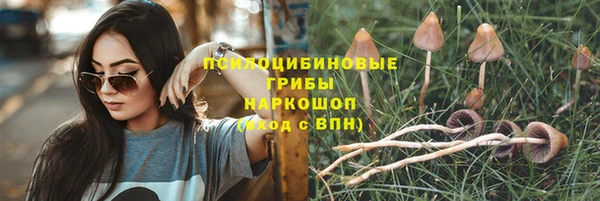 хмурый Карпинск