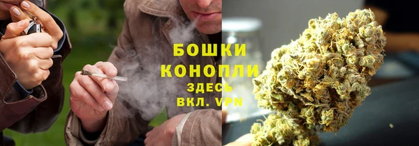гидра Касимов