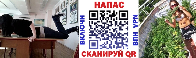 Бошки Шишки Ganja  Берёзовка 